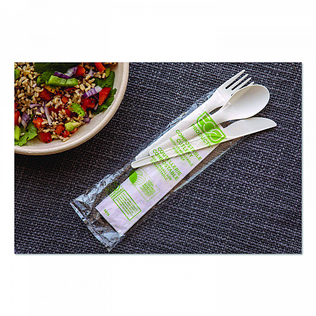 Plantware Compostable Cutlery Kit, Fork/Knife/Napkin/Spoon, Pearl White, 250 Kits/Carton (EPS015)