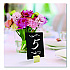 Tabletop Chalkboard Tag, Black Surface, Teak Wood Holder, 3 x 4, 6/Pack (EGPHD0508S)