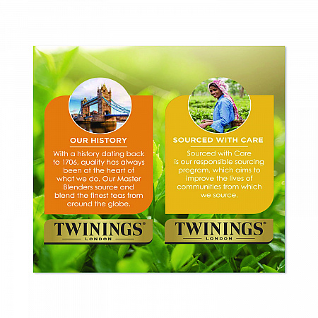 Black Tea Variety Pack, Assorted Flavors, 20/Box (TNA05320)