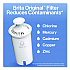Standard Replacement Filters for Pitchers, 3/Pack, 8 Packs/Carton (35503CT)
