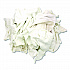 Sweatshirt Rags, Unscented, White, 8/lb, 25 lb/Carton (33325)