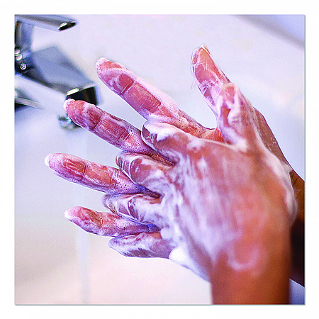 Lotion Hand Soap, 1 gal Bottle, 2/Carton (65566)