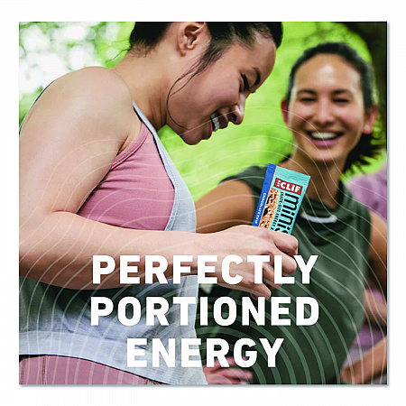 Energy Bar, Mini Chocolate Chip, 0.99 oz Bar, 20/Box (CCC37654)