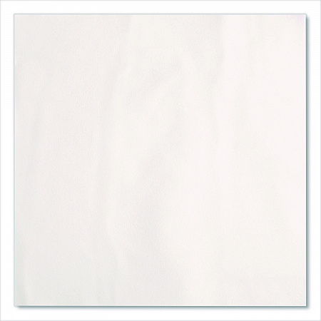 Flat Linen Replacement Dinner Napkin, 1-Ply, 16 x 15, White, 1,000/Carton (92120)