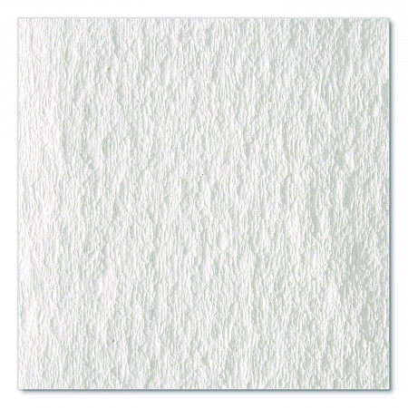 Tall Dispenser Premium All-Purpose DRC Wipers, 1-Ply, 9.25 x 16, Unscented, White, 110/Box 10 Boxes/Carton (20075)