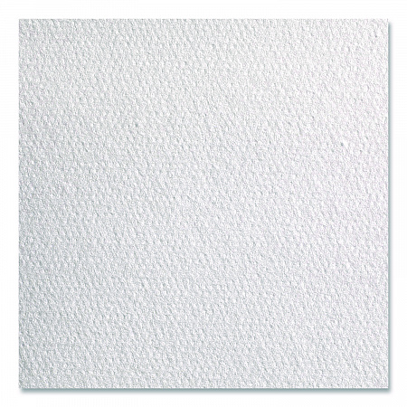 Professional Cleaning Towels, 1-Ply, 12 x 13, White, 50/Pack, 18 Packs/Carton (28612)
