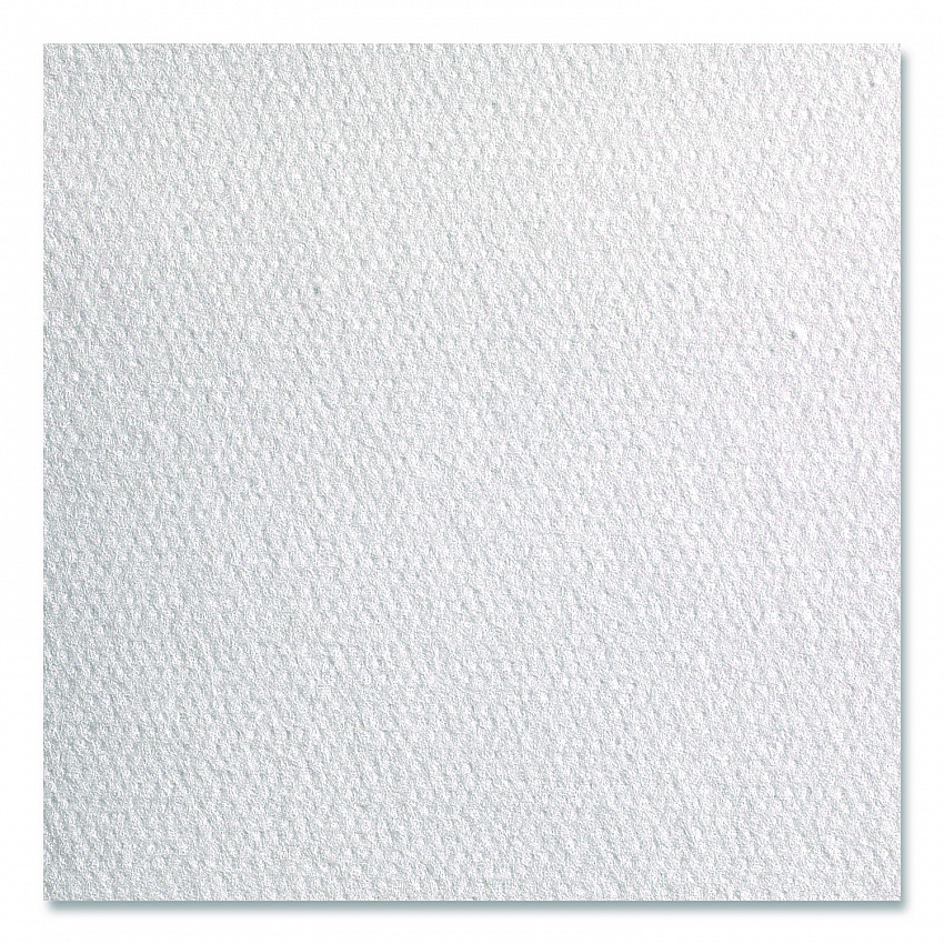 Professional Cleaning Towels, 1-Ply, 12 x 13, White, 50/Pack, 18 Packs/Carton (28612)