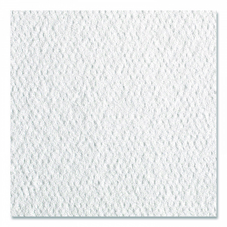 Pacific Blue Select Disposable Patient Care Washcloths, 1-Ply, 10 x 13, Unscented, White, 55/Pack, 24 Packs/Carton (29506)