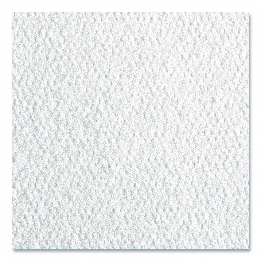 Pacific Blue Select Disposable Patient Care Washcloths, 1-Ply, 10 x 13, Unscented, White, 55/Pack, 24 Packs/Carton (29506)