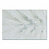 Spiral Bowl Brush, 13