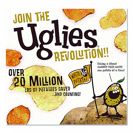Kettle Potato Chips, Sea Salt, 2 oz Bags, 24/Carton (DFN26102)