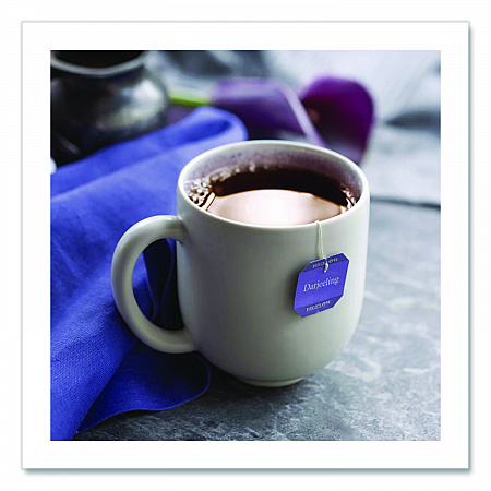 Darjeeling Black Tea Bags, 0.08 Tea Bag, 28/Box (RCB003491)