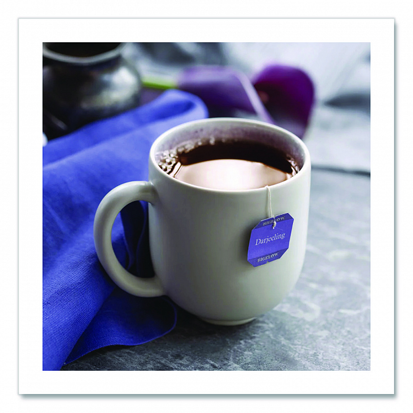 Darjeeling Black Tea Bags, 0.08 Tea Bag, 28/Box (RCB003491)