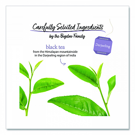 Darjeeling Black Tea Bags, 0.08 Tea Bag, 28/Box (RCB003491)