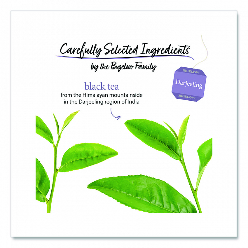 Darjeeling Black Tea Bags, 0.08 Tea Bag, 28/Box (RCB003491)