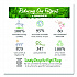 steep Cafe Organic Green Tea, Tropical, 50 Bags/Carton (RCB19969)