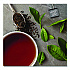 steep Cafe Organic Black Tea, English Breakfast, 50 Bags/Carton (RCB19971)