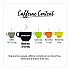 steep Cafe Organic Black Tea, English Breakfast, 50 Bags/Carton (RCB19971)