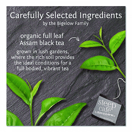 steep Cafe Organic Black Tea, English Breakfast, 50 Bags/Carton (RCB19971)