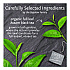 steep Cafe Organic Black Tea, English Breakfast, 50 Bags/Carton (RCB19971)