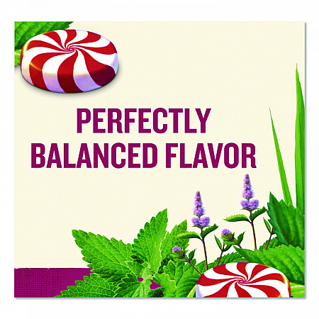 Tea, Herbal Peppermint, 25/Box (CES31012)