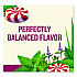 Tea, Herbal Peppermint, 25/Box (CES31012)