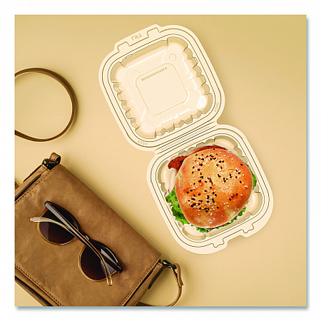 Microwaveable Hinged Containers, ProPlanet Seal, 6.31 x 6.31 x 3, Clear, Plastic, 300/Carton (60PPHT1)