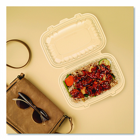 Microwaveable Hinged Containers, ProPlanet Seal, 6.5 x 9 x 3, Clear, Plastic, 300/Carton (69PPHT1)