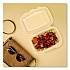 Microwaveable Hinged Containers, ProPlanet Seal, 6.5 x 9 x 3, Clear, Plastic, 300/Carton (69PPHT1)