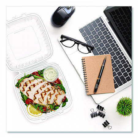 Microwaveable Hinged Containers, ProPlanet Seal, 9 x 8.75 x 3, Clear, Plastic 150/Carton (90PPHT1)