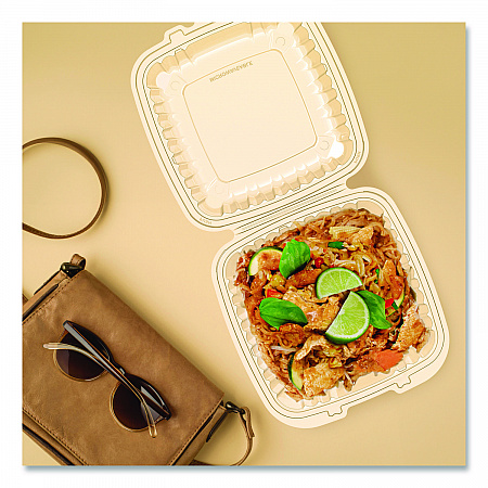 Microwaveable Hinged Containers, ProPlanet Seal, 9 x 8.75 x 3, Clear, Plastic 150/Carton (90PPHT1)