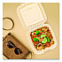 Microwaveable Hinged Containers, ProPlanet Seal, 9 x 8.75 x 3, Clear, Plastic 150/Carton (90PPHT1)