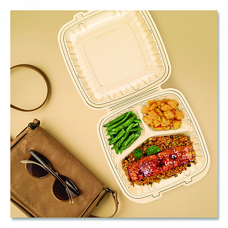 Microwaveable Hinged Containers, ProPlanet Seal, 3 Compartments, 9 x 8.75 x 3, Clear, Plastic,150/Carton (90PPHT3)