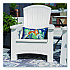 Adirondack Chair with Storage, Supports Up to 375 lb, 14.5