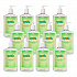 Antibacterial Lotion Soap, Light Scent, 12 oz (9759)