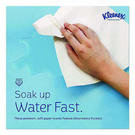 Hard Roll Paper Towels with Premium Absorbency Pockets with Colored Core, Green Core, 1-Ply, 7.5