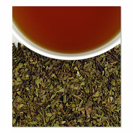 Premium Tea, Organic Peppermint Herbal Tea, Individually Wrapped Tea Bags, 20/Box (HSF00952)