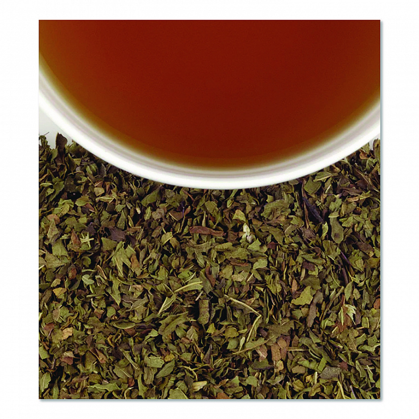 Premium Tea, Organic Peppermint Herbal Tea, Individually Wrapped Tea Bags, 20/Box (HSF00952)