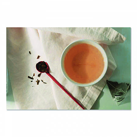 Premium Tea, Organic Peppermint Herbal Tea, Individually Wrapped Tea Bags, 20/Box (HSF00952)
