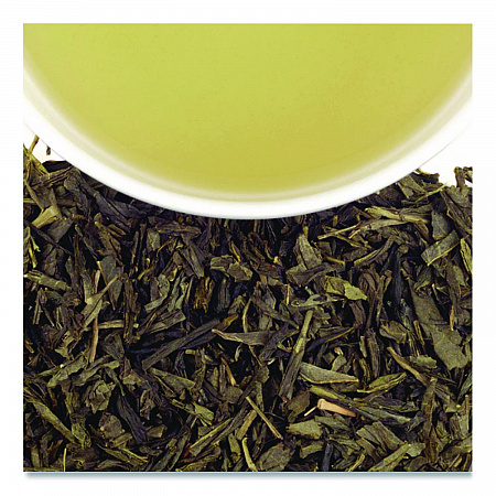 Premium Tea, Tropical Green Tea, Individually Wrapped Tea Bags, 20/Box (HSF30640)