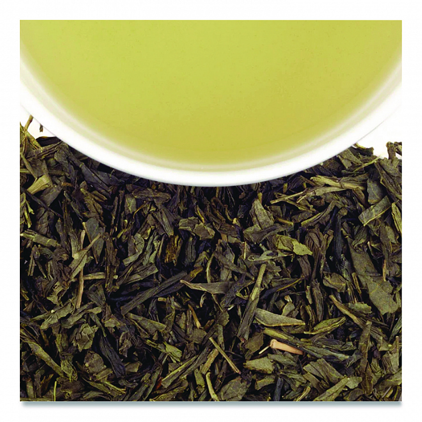 Premium Tea, Tropical Green Tea, Individually Wrapped Tea Bags, 20/Box (HSF30640)