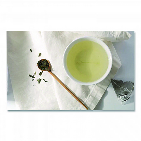 Premium Tea, Tropical Green Tea, Individually Wrapped Tea Bags, 20/Box (HSF30640)