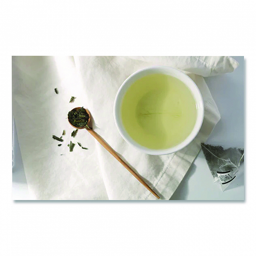Premium Tea, Tropical Green Tea, Individually Wrapped Tea Bags, 20/Box (HSF30640)