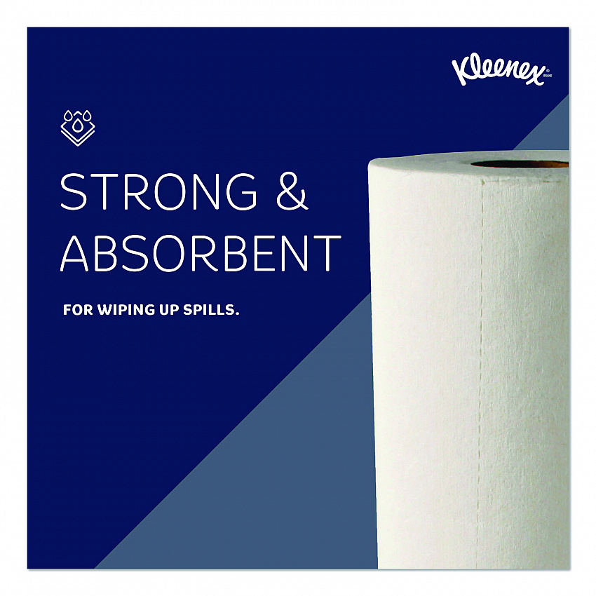 Premiere Kitchen Roll Towels, 1-Ply, 11 x 9.4, White, 70/Roll, 24 Rolls/Carton (13964)