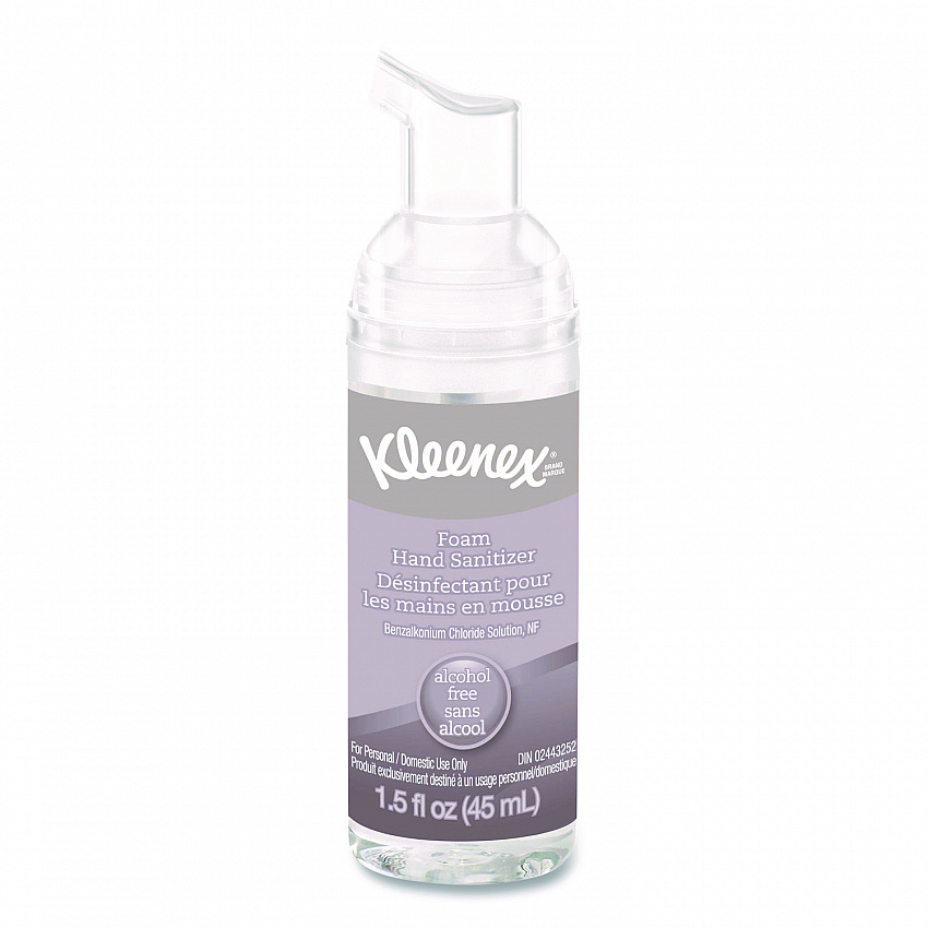 Alcohol-Free Foam Hand Sanitizer, 1.5 oz Pump Bottle, Unscented, 24/Carton (34136)