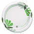 Pathways Soak-Proof Shield Mediumweight Paper Plates, WiseSize, 8.5