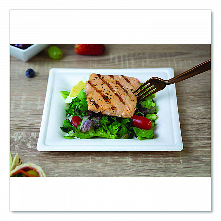 ChampWare Molded Fiber Tableware, Square Molded Fiber Plate, 8