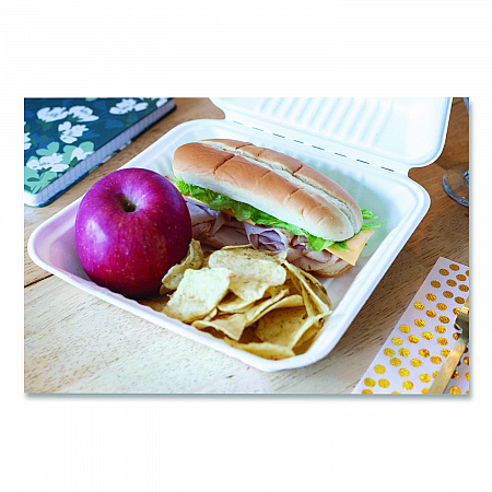 ChampWare Molded-Fiber Clamshell Containers, 9 x 9 x 3, White, 100/Sleeve, 2 Sleeves/Carton (18935WPF)