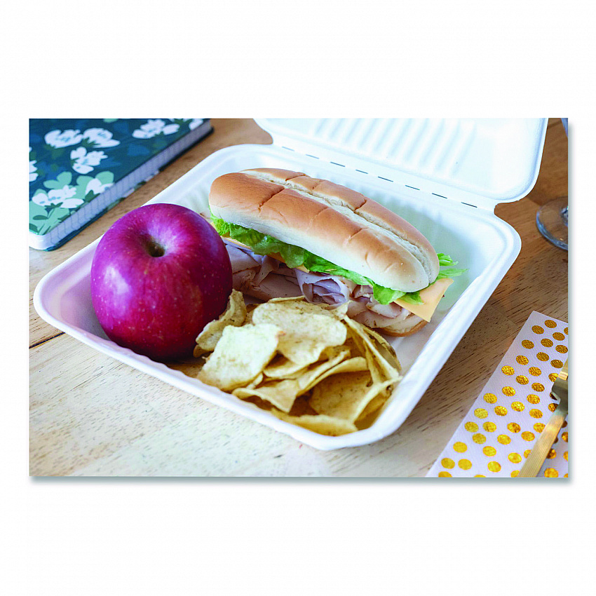 ChampWare Molded-Fiber Clamshell Containers, 9 x 9 x 3, White, 100/Sleeve, 2 Sleeves/Carton (18935WPF)