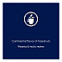 Coffee Freshpack Pods, Hazelnut, Medium Roast, 0.23 oz, 100/Carton (MDRA185)